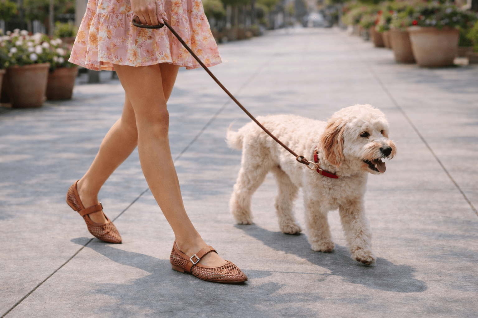 woman walking small white dog wearing mesh sandals and a dress